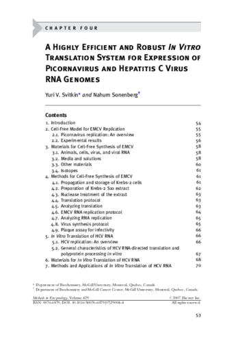 Chapter Four - A Highly Efficient and Robust In Vitro Translation System for Expression of Picornavirus and Hepatitis C Virus RNA Genomes thumbnail