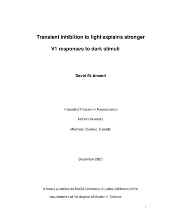 Transient inhibition to light explains stronger V1 responses to dark stimuli thumbnail