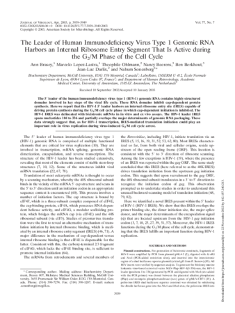 The Leader of Human Immunodeficiency Virus Type 1 Genomic RNA Harbors an Internal Ribosome Entry Segment That Is Active during the G2/M Phase of the Cell Cycle thumbnail