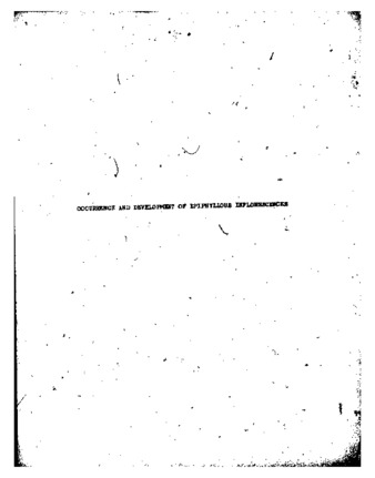 Occurrence and development of epiphyllous inflorescences: consequences of their morphological interpretation, with special reference to Phyllonoma integerrima (Trucz.) Loes and Helwingia japonica (Thunb.) Dietr. thumbnail