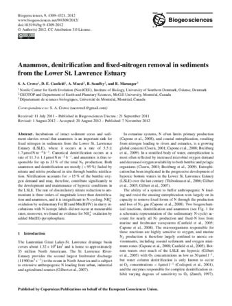 Anammox, denitrification and fixed-nitrogen removal in sediments from the Lower St. Lawrence Estuary thumbnail