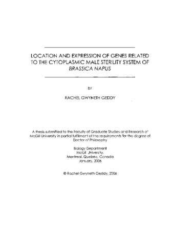 Location and expression of genes related to the cytoplasmic male sterility system of Brassica napus thumbnail