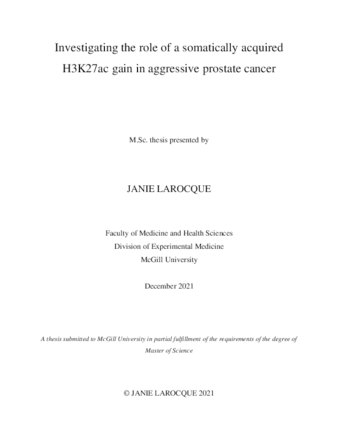 Investigating the role of a somatically acquired H3K27ac gain in aggressive prostate cancer thumbnail