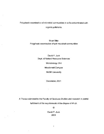 Polyphasic examination of microbial communities in soils contaminated with organic pollutants thumbnail