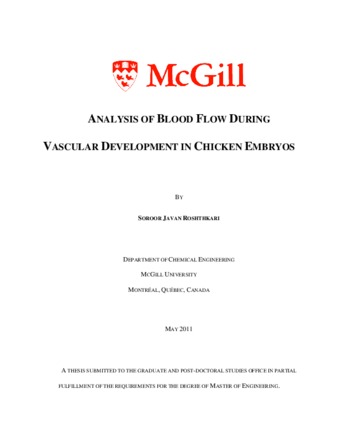 Analysis of blood flow during vascular development in chick embryos thumbnail