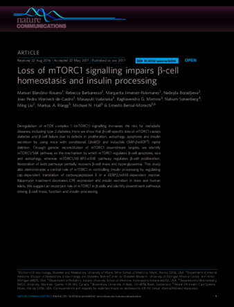 Loss of mTORC1 signalling impairs β-cell homeostasis and insulin processing thumbnail