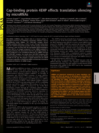 Cap-binding protein 4EHP effects translation silencing by microRNAs thumbnail