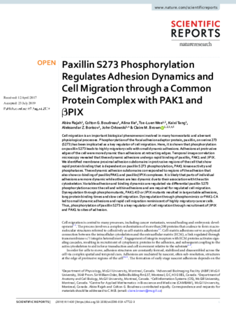 Paxillin S273 Phosphorylation Regulates Adhesion Dynamics and Cell Migration through a Common Protein Complex with PAK1 and βPIX thumbnail