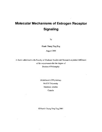 Molecular mechanisms of estrogen receptor signaling thumbnail