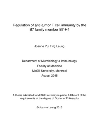 Regulation of anti-tumor T cell immunity by the B7 family member B7-H4 thumbnail