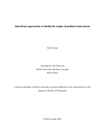 Data-driven approaches to identify the origins of pediatric brain tumors thumbnail