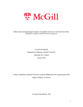 Behavioural and physiological impacts of multiple stressors on two freshwater fishes (Miniellus anogenus and Enteromius neumayeri) thumbnail