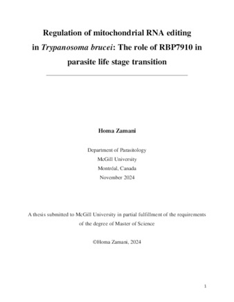 Regulation of mitochondrial RNA editing in Trypanosoma brucei: The role of RBP7910 in parasite life stage transition thumbnail