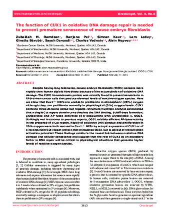 The Function of CUX1 in Oxidative DNA Damage Repair Is Needed To Prevent Premature Senescence of Mouse Embryo Fibroblasts thumbnail