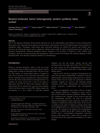 Beyond molecular tumor heterogeneity: protein synthesis takes control thumbnail