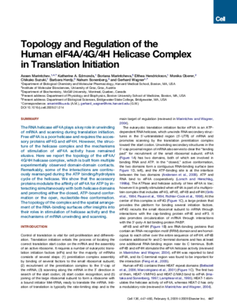 Topology and Regulation of the Human eIF4A/4G/4H Helicase Complex in Translation Initiation thumbnail