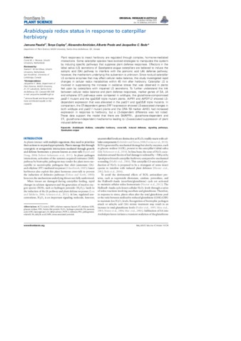 Influence of diet on the larval beet armyworm, Spodoptera exigua, glucose oxidase activity thumbnail