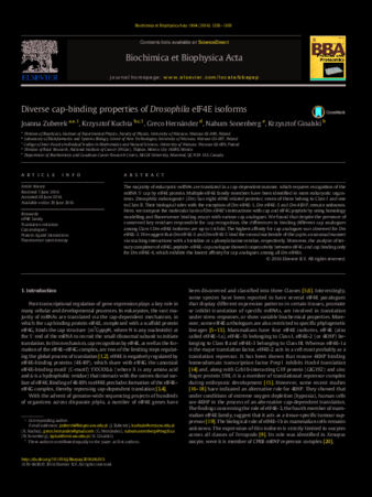 Diverse cap-binding properties of Drosophila eIF4E isoforms thumbnail