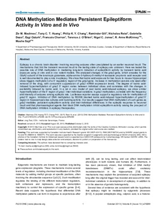 DNA Methylation Mediates Persistent Epileptiform Activity In Vitro and In Vivo thumbnail