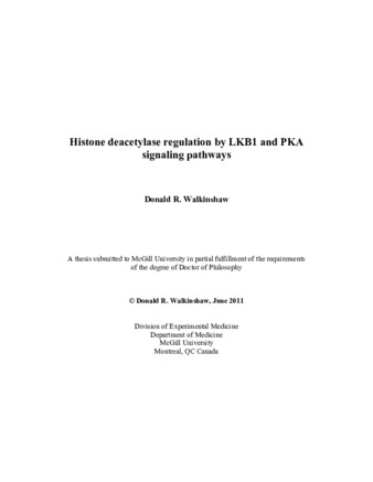 Histone deacetylase regulation by LKB1 and PKA signaling pathways thumbnail