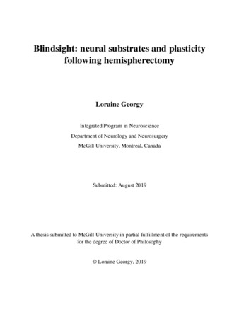Blindsight: neural substrates and plasticity following hemispherectomy thumbnail