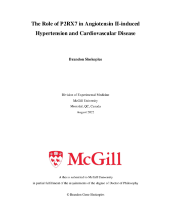 The role of P2RX7 in Ang II induced hypertension and cardiovascular disease thumbnail