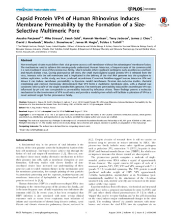 Capsid Protein VP4 of Human Rhinovirus Induces Membrane Permeability by the Formation of a Size-Selective Multimeric Pore thumbnail