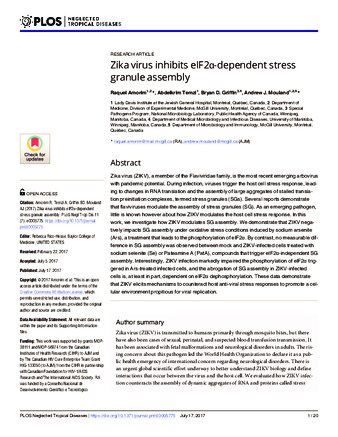 Zika virus inhibits eIF2α-dependent stress granule assembly thumbnail