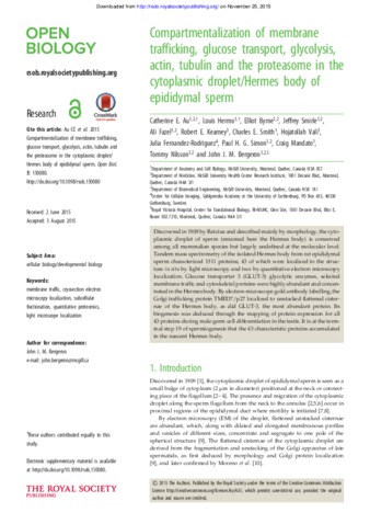 Compartmentalization of membrane trafficking, glucose transport, glycolysis, actin, tubulin and the proteasome in the cytoplasmic droplet/Hermes body of epididymal sperm thumbnail