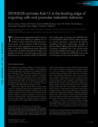 DENND2B activates Rab13 at the leading edge of migrating cells and promotes metastatic behavior thumbnail