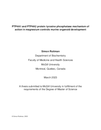 PTP4A1 and PTP4A2 protein tyrosine phosphatase mechanism of action in magnesium controls murine organoid development thumbnail