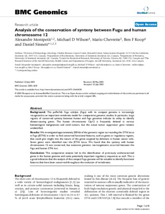 Analysis of the conservation of synteny between Fugu and human chromosome 12 thumbnail