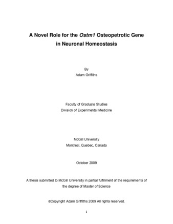 A novel role for the «Ostm1» Osteopetrotic gene in neuronal homeostasis thumbnail