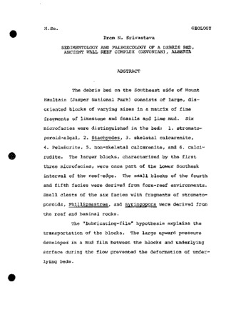 Sedimentary structures pdf image