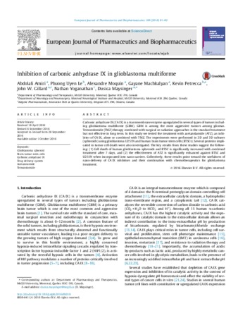 Inhibition of carbonic anhydrase IX in glioblastoma multiforme thumbnail