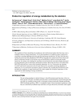 Endocrine regulation of energy metabolism by the skeleton thumbnail