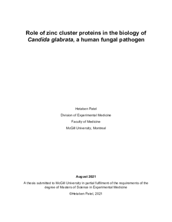 Role of zinc cluster proteins in the biology of Candida glabrata, a fungal pathogen thumbnail