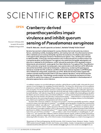 Cranberry-derived proanthocyanidins impair virulence and inhibit quorum sensing of Pseudomonas aeruginosa thumbnail