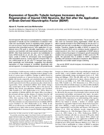 Expression of specific tubulin isotypes increases during regeneration of injured CNS neurons, but not after the application of brain-derived neurotrophic factor (BDNF) thumbnail