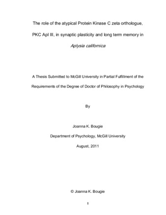 The role of the atypical protein kinase C zeta orthologue, PKC Apl III, in synaptic plasticity and long term memory in Aplysia californica thumbnail