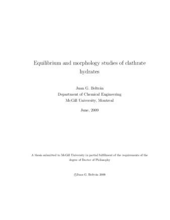 Equilibrium and morphology studies of clathrate hydrates thumbnail