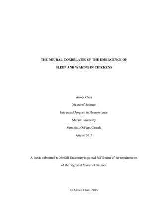 The neural correlates of the emergence of sleep and waking in chickens thumbnail