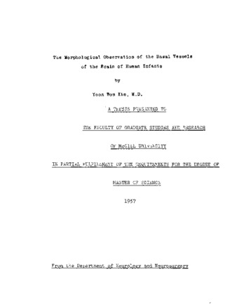 The morphological observation of the basal vessels of the brain of human infants. thumbnail
