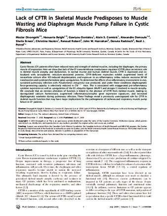 Lack of CFTR in Skeletal Muscle Predisposes to Muscle Wasting and Diaphragm Muscle Pump Failure in Cystic Fibrosis Mice thumbnail