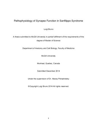 Pathophysiology of synapse function in Sanfilippo syndrome thumbnail