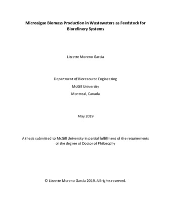 Microalgae biomass production in wastewaters as feedstock for biorefinery systems thumbnail