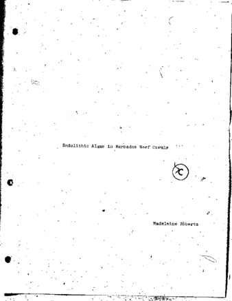 Endolithic algae in Barbados reef corals thumbnail