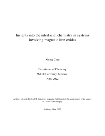 Insights into the interfacial chemistry in systems involving iron oxides thumbnail