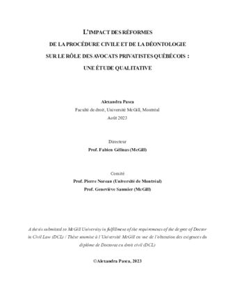 L'impact des réformes de la procédure civile et de la déontologie sur le rôle des avocats privatistes québécois : une étude qualitative thumbnail