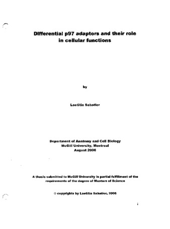 Differential p97 adaptors and their role in cellular functions thumbnail